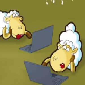 Internet Sicherheit Sheeplive 1